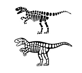 Fototapeta na wymiar Velociraptor bones and skull. Velociraptor skeleton. Prehistoric animal silhouette. Paleontology and archeology. Prehistoric creature bones