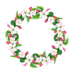 Apple tree blooming floral wreath. Watercolor illustration isolated on white