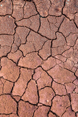 Background of cracked red earth