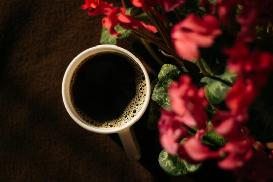 รูปภาพSpringcoffee – เลือกดูภาพถ่ายสต็อก เวกเตอร์ และวิดีโอ41 | Adobe Stock
