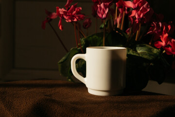 cup of coffee in the morning. espresso coffee	