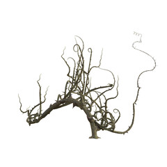 3d render isolated briar thorn patch