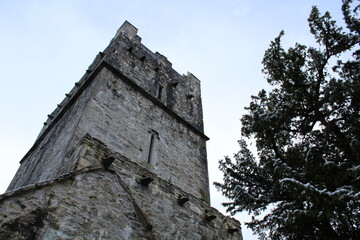 Low angle view of Muckross Abbey tower in winter after snowfall. Snow covered Muckross Abbey at dusk in winter with yew tree. Kerry National Park winter wallpaper or screensaver background