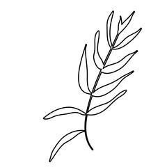 Leaf Outline Icon