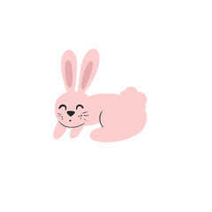 Pink rabbit 