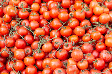 Bulk tomatoes for sale in the market