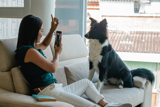 Smiling young Hispanic woman photographing cute dog on couch