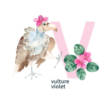 Letter V, vulture and violet flower, cute kids animal and flower ABC alphabet. Watercolor illustration isolated on white background. Can be used for alphabet or cards for kids learning English