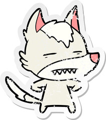 distressed sticker of a cartoon wolf showing teeth