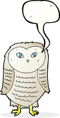 cartoon owl with speech bubble