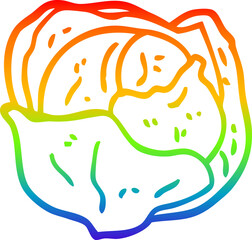 rainbow gradient line drawing cartoon organic lettuce