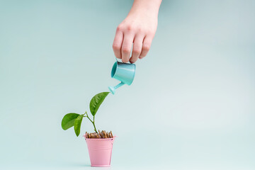 The concept of revenue growth. The plant grows out of money after watering it from a watering can