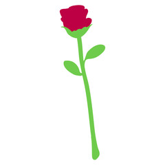 single rose