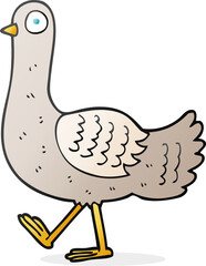 cartoon pigeon