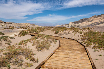 Salt Creek Interpretive Trail in Death Valley NP