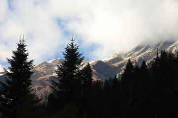 Mountain landscape with forest and white clouds in the mist at the top