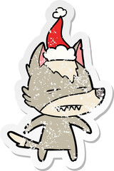 distressed sticker cartoon of a wolf showing teeth wearing santa hat