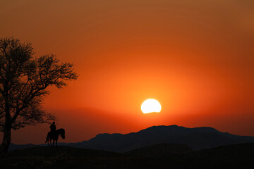 Silhouette of a rider on the horse standing on the at the sunset background.