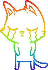 rainbow gradient line drawing crying cartoon cat