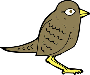 cartoon garden bird