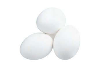 White chicken egg isolated on white background. Full Depth of field. Focus stacking. PNG
