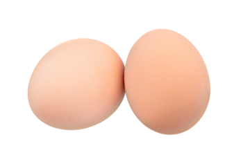 Brown chicken egg isolated on white background. Full Depth of field. Focus stacking. PNG