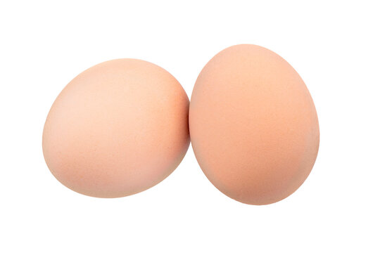 Brown chicken egg isolated on white background. Full Depth of field. Focus stacking. PNG