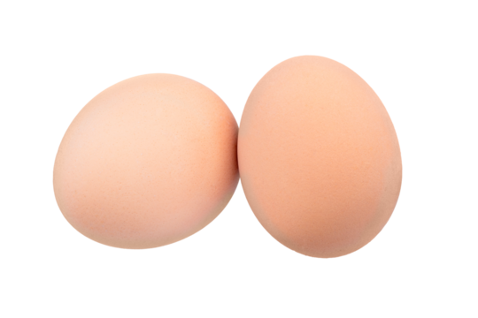 Brown chicken egg isolated on white background. Full Depth of field. Focus stacking. PNG
