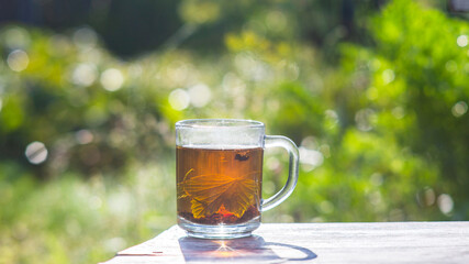Transparent mug with fresh hot berry black tea and currant. An invigorating drink in the early morning in nature with the rays of the warm sun