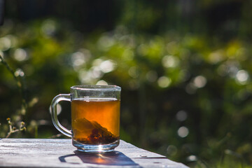 Transparent mug with fresh hot berry black tea and currant. An invigorating drink in the early morning in nature with the rays of the warm sun