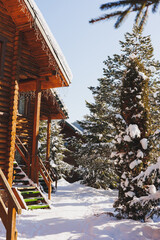 Winter snowy wooden cottage, Snow-covered trees near the house.