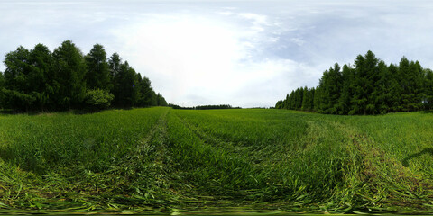 Rural area green grass HDRI Panorama