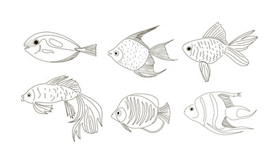 Set of fish in a linear style. Vector illustration of six fish isolated on a white background.