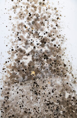Mold on a white wall. Black spots of toxic mold bacteria and fungus on the wall. The concept of...