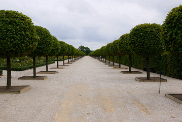 Latvian Rundale Palace and palace garden in summer, an alley of green trees and a garden