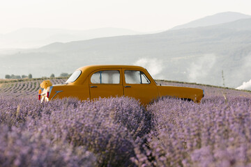 Yellow retro car in a lavender field in the morning with fog and sun.