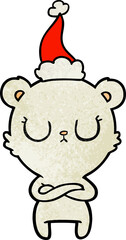 peaceful textured cartoon of a polar bear wearing santa hat