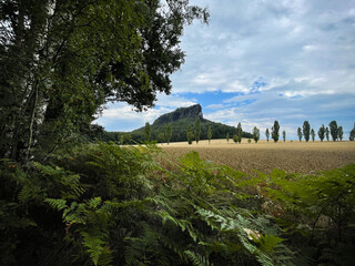 The Lilienstein in the Elbe Sandstone Mountains in Saxony. With grain field in the foreground.