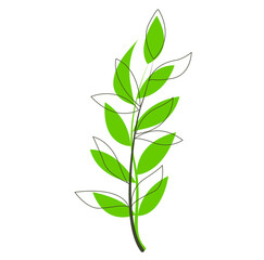 delicate and sophisticated illustration of a plant branch with leaves