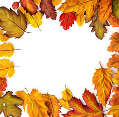 border frame of colorful autumn leaves isolated on white background. Made with Generative Ai
