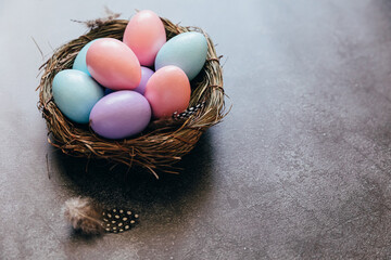 Happy Easter concept. Preparation for holiday. Colorful pastel decorated easter eggs in nest on grunge scratched dark black shale background. Simple minimalism copy space