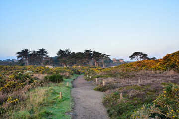 Fototapeta premium Magnifique paysage de la côte de granit rose en Bretagne - France