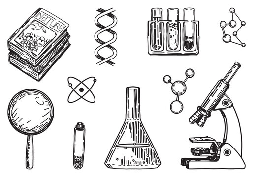 Biology chemistry lesson school attributes collection. Set of microscope, laboratory beakers, textbook, magnifying glass, formulas. Hand drawn vector illustrations cliparts isolated on white.
