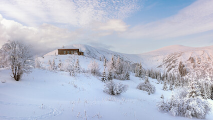 Fototapeta na wymiar Morning predawn winter mountain panorama (Carpathian, Ukraine).