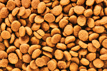 Dry cat food. Background of dry granulated food for cats, dogs close-up