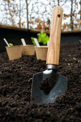 gardening scapula in soil with sprouts in pots, spring gardening concept. 