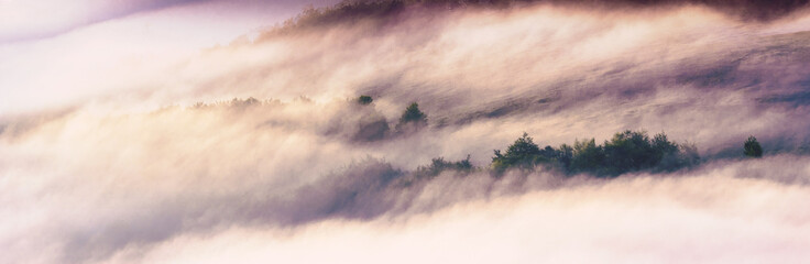 picturesque summer landscape, wonderful sunset in the mountains	