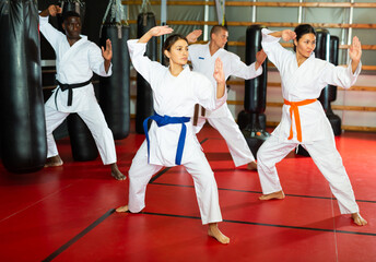 Polyethnic men and women wearing kimono and belts. Group of people doing kata during karate...
