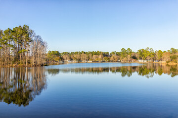 Fototapeta premium Eutawville, South Carolina sunset near Lake Marion with waterfront houses and docks water landscape view at Fountain lake in spring evening with nobody and pine trees
