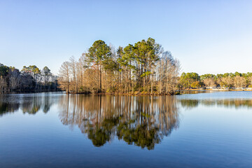 Eutawville, South Carolina sunset in town near Lake Marion with water landscape view at Fountain lake in spring evening with nobody and pine trees